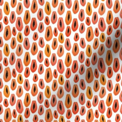 Papaya  fruit, pawpaw on  white, created from watercolor art with shades of orange and coral , this summer fruit design is fun, bright and funky!