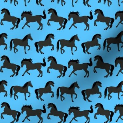 Black Horses on Blue