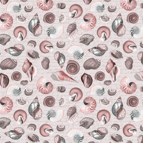 Vintage Shells Pastel Pink