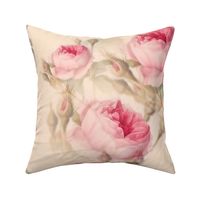 Pink roses,vintage flowers pattern 