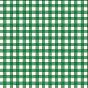 Green Gingham - Small (Rainbow Collection)