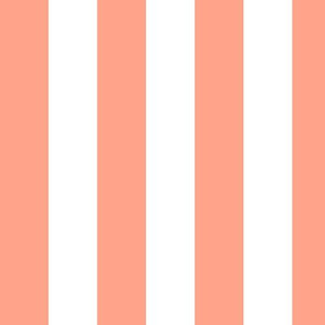 Large Peach Awning Stripe Pattern Vertical in White