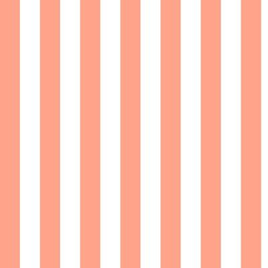 Peach Awning Stripe Pattern Vertical in White