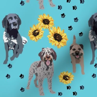 Griffon, Terrier and Munstlander Dogs with Yellow Sunflowers and Paw Prints dog fabric