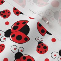 Little Ladybugs