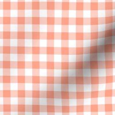 Gingham Pattern - Peach and White