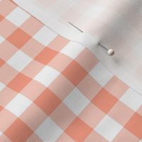 Gingham Pattern - Peach and White