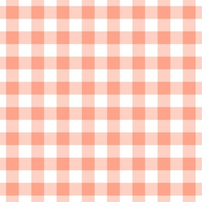 Gingham Pattern - Peach and White