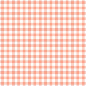 Small Gingham Pattern - Peach and White
