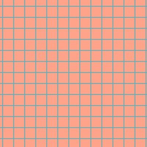 Grid Pattern - Peach and Aqua
