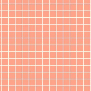 Grid Pattern - Peach and White