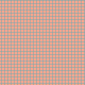 Small Grid Pattern - Peach and Aqua