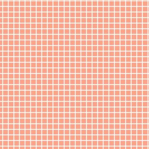 Small Grid Pattern - Peach and White