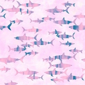 sharks 2A light pink