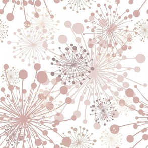 Dandelions white blush pink beige