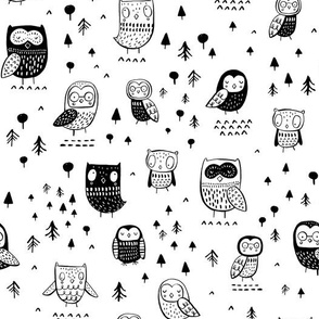 Owls black and white