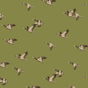 Flying Ducks - green - large scale
