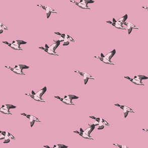 Flying Ducks - pink -large scale