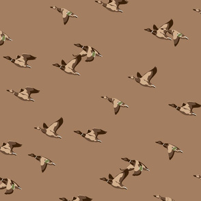 Flying Ducks - brown -large scale