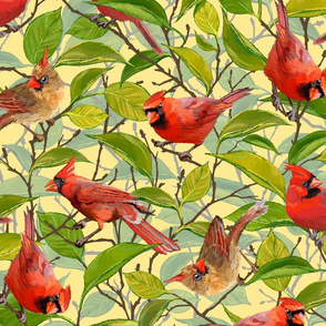 Spring Cardinals | Creamy Yellow