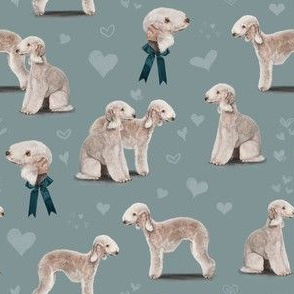 The Bedlington Terrier