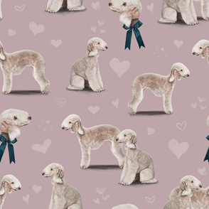 The Bedlington Terrier Pink