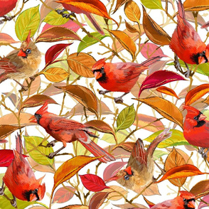 Autumn Cardinals | White