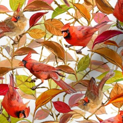 Autumn Cardinals | Small | White