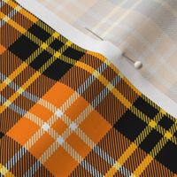 01137720 : tartan : halloween