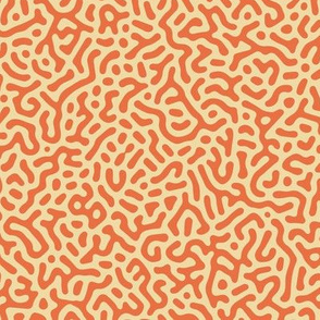 Organic Turing Pattern // Orange