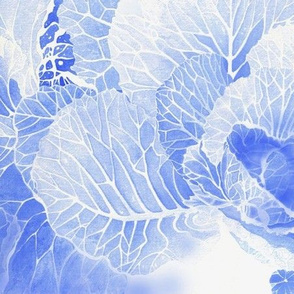 BAUER - Blue Cabbage