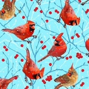 Winter Cardinals | Small | Sky Blue