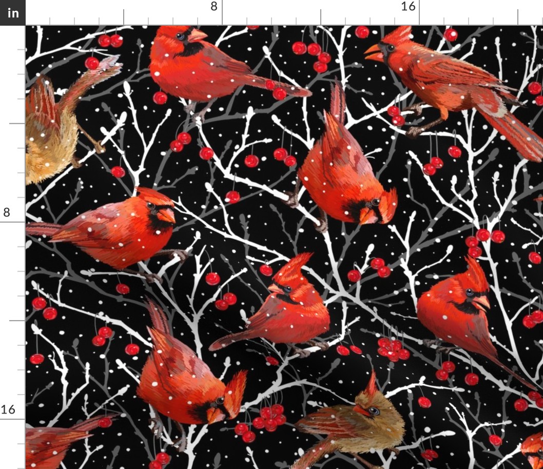Winter Cardinals | Black Red White