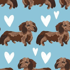 Fluffy Sausage Dogs Blue