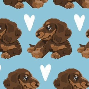 Sausage Dogs Blue