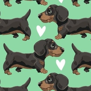 Sausage Dogs Puppies Green