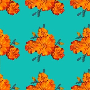 Orange Marigold clusters on Teal