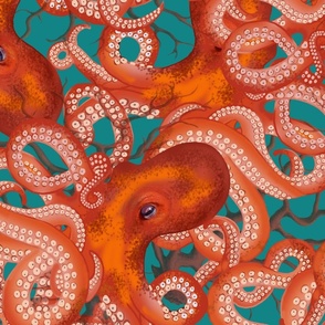 Octopus Wallpapers HD for Android  Download  Cafe Bazaar