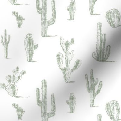 Cacti - soft green on white