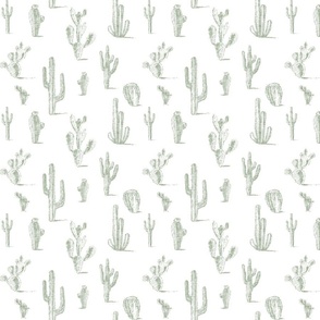 Cacti - soft green on white