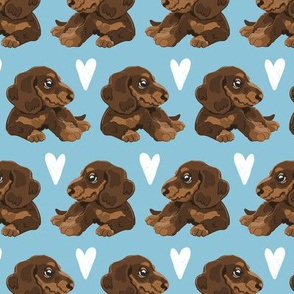 Dachshund Sausage Dogs Blue small scale