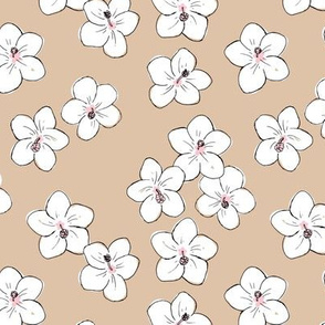 The minimalist hibiscus flowers boho hawaii aloha island vibes blossom garden beige sand white