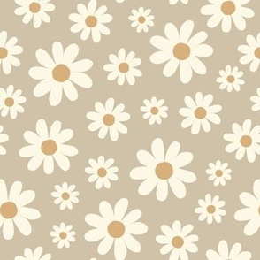 Daisy, florals, daisies 