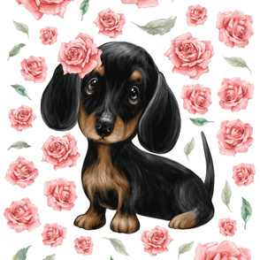 26x36 blanket dachshund