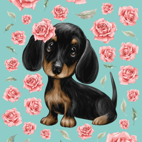 26x36 blanket dachshund