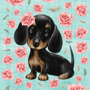 26x36 blanket dachshund