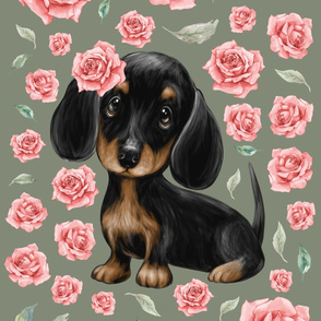 26x36 blanket dachshund