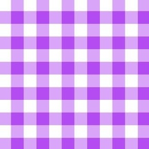 Purple Gingham 