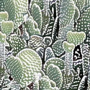 cactus garden colored pencil