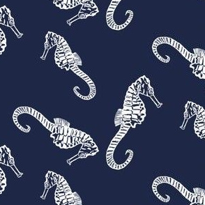 Seahorses on Navy II